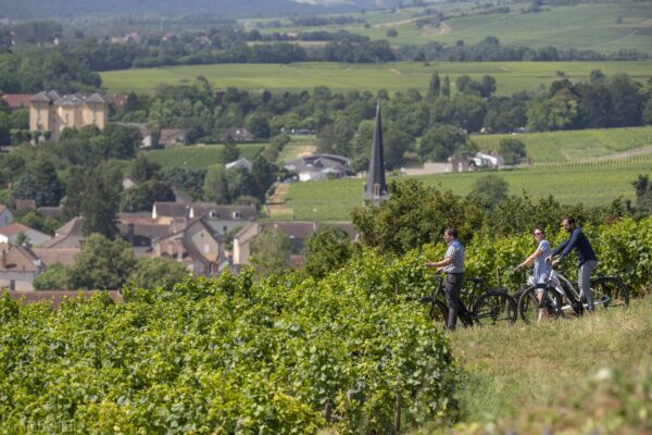 Chevalider de la Cree Montagny Premier Cru 2022 - Image 2
