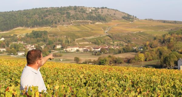 Domaine Fornerot Bourgogne Blanc 2022 - Image 2