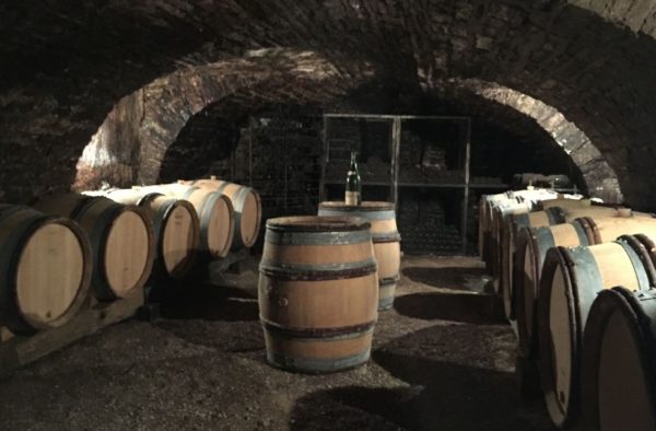 Denis Carré Wine Cellar