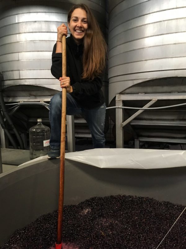 Winemaker Anne Sery Harvest 2019