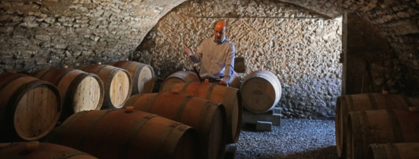 Foucher wine cellar