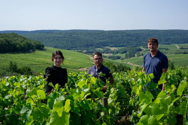 Domaine Barolet-Pernot Saint Romain Rouge 2022 - Image 2