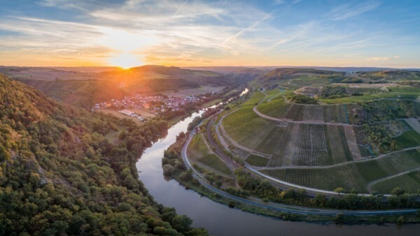 Dönnhoff Niederhauser Klamm Riesling Kabinett 2023 - Image 2