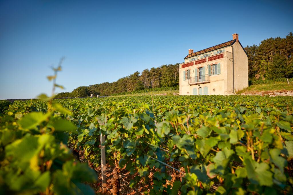 Domaine Faiveley Gevrey-Chambertin Vieilles Vignes 2022 - Image 2