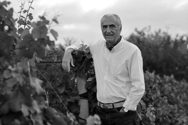 Fabre Montmayou Gran Reserva Malbec 2020 - Image 2