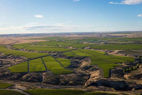 Double Canyon Cabernet Sauvignon Horse Heaven Hills 2021 - Image 2