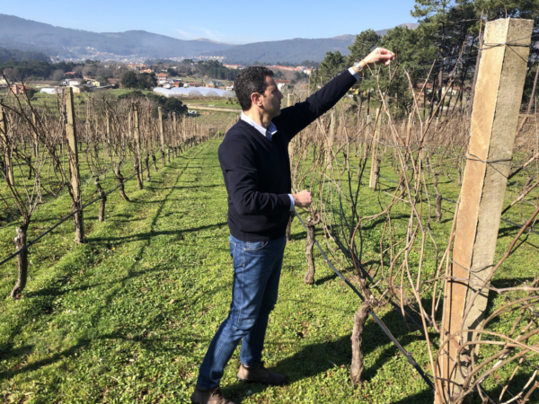 Quinta Couselo Turonia Albarino Rias Baixas 2021 - Image 2