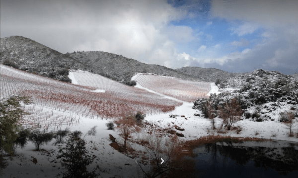 Turley Rorick Vineyard Zinfandel 2021 - Image 2
