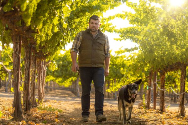 Boen Pinot Noir Tri Appellation 2022 - Image 2