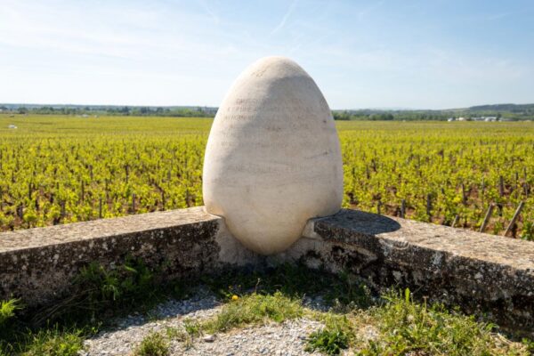 Domaine Leflaive Bourgogne Blanc 2018 - Image 3