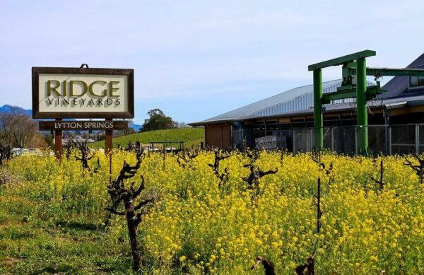 Ridge Vineyards Lytton Springs Dry Creek Valley Red Blend 2021 - Image 2