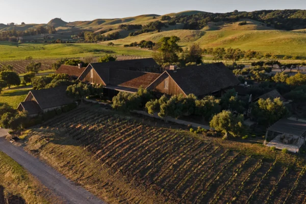 Ram's Gate Winery Hyde Vineyard Chardonnay 2018 - Image 2