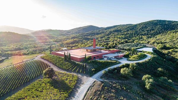 Rocca di Frassinello Poggio alla Guardia Toscana 2022 - Image 2