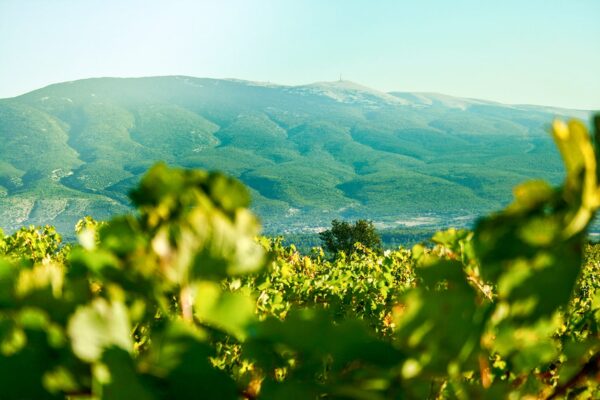 Chateau Pesquie Terrasses Rouge 2020 - Image 2